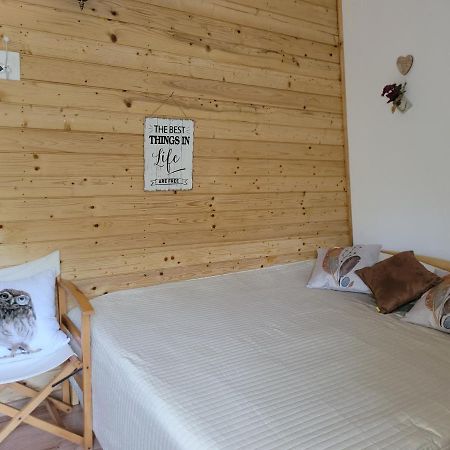 Cabana Praid Villa Екстериор снимка