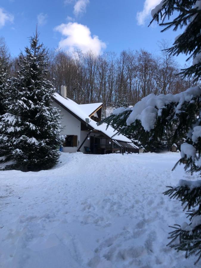 Cabana Praid Villa Екстериор снимка