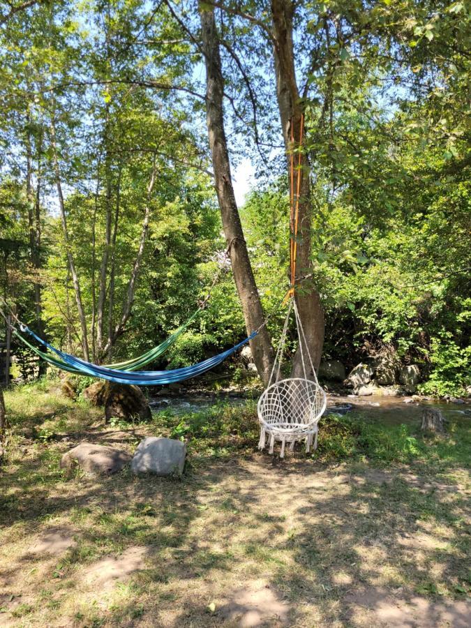 Cabana Praid Villa Екстериор снимка